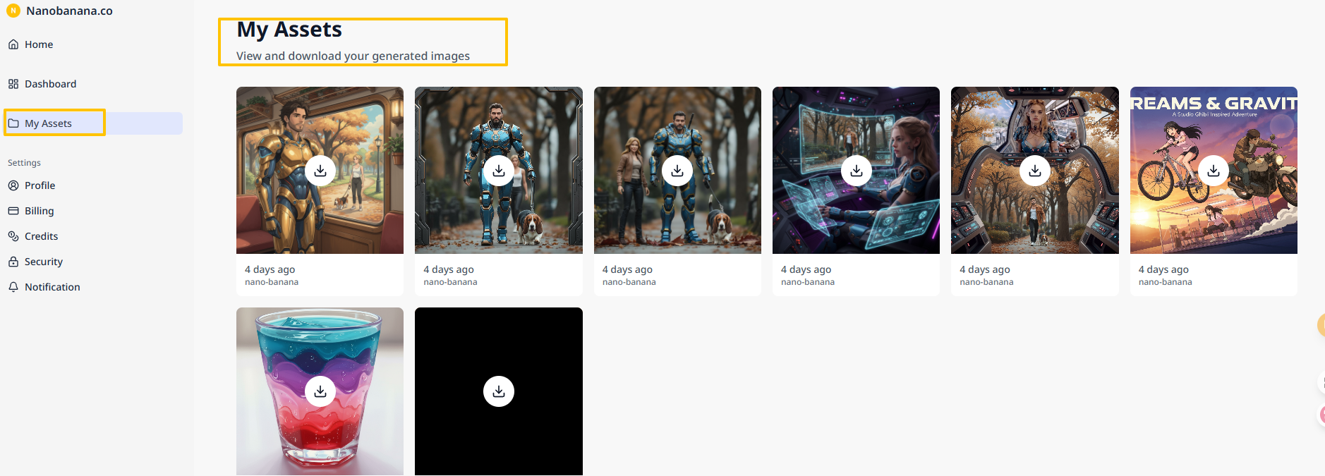 My Assets page showing downloaded high-resolution PNG files